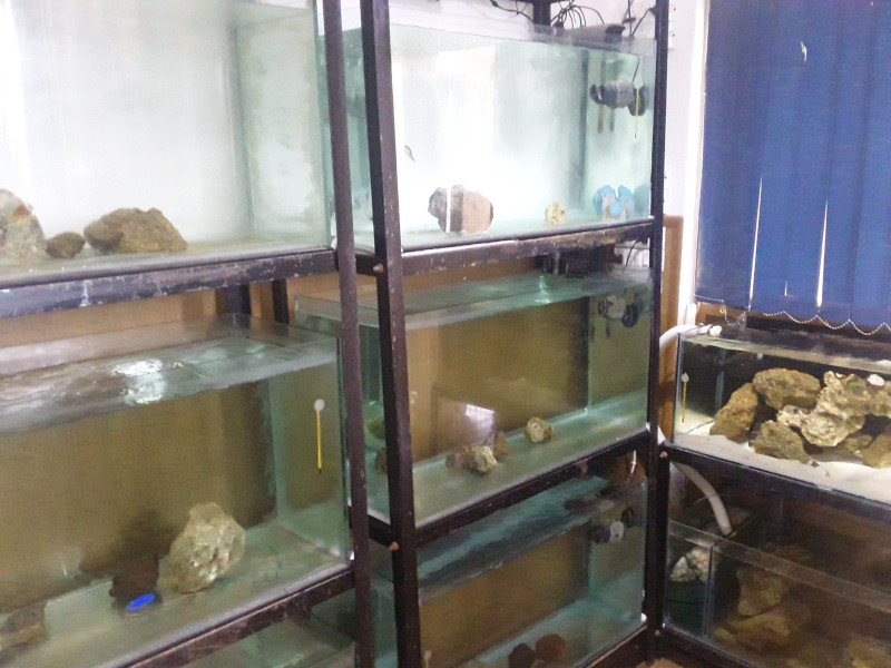 Home Reef Aquarium Shop