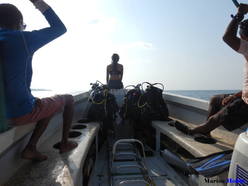 Scuba Diving Andaman Boat Ride