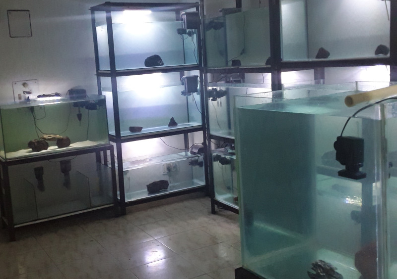 Marine Aquarium Near Me_India