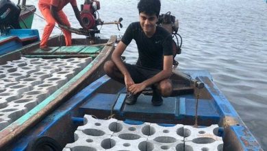 Artificial reef building by India’s Siddharth Pillai and Temple Adventures