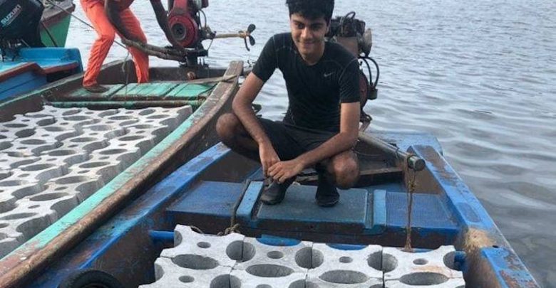 Artificial reef building by India’s Siddharth Pillai and Temple Adventures