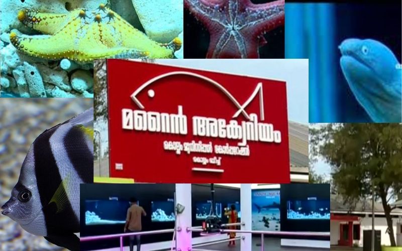 Kollam Corporation in India Opens Marine Aquarium at Kollam Beach